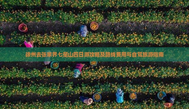 徐州去张家界七星山四日游攻略及路线费用与自驾旅游指南