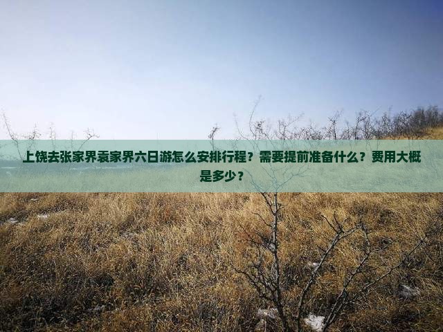 上饶去张家界袁家界六日游怎么安排行程？需要提前准备什么？费用大概是多少？