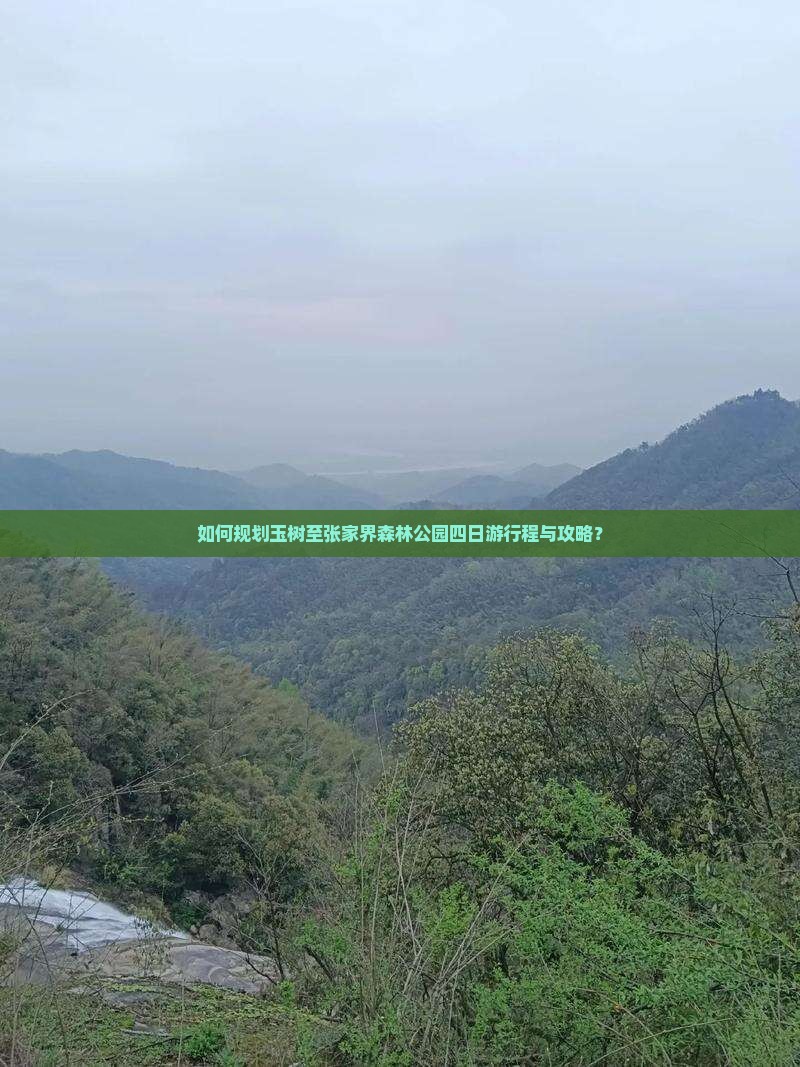 如何规划玉树至张家界森林公园四日游行程与攻略？