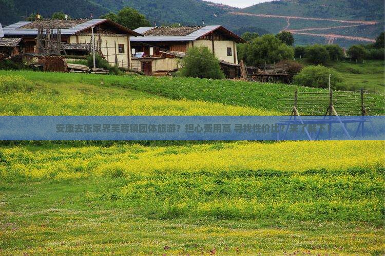 安康去张家界芙蓉镇团体旅游？担心费用高+寻找性价比？来了解下！