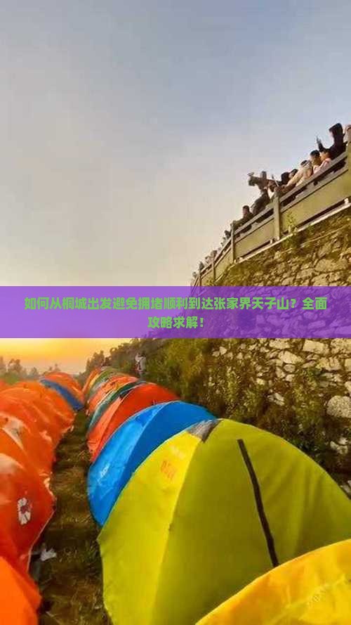 如何从桐城出发避免拥堵顺利到达张家界天子山？全面攻略求解！