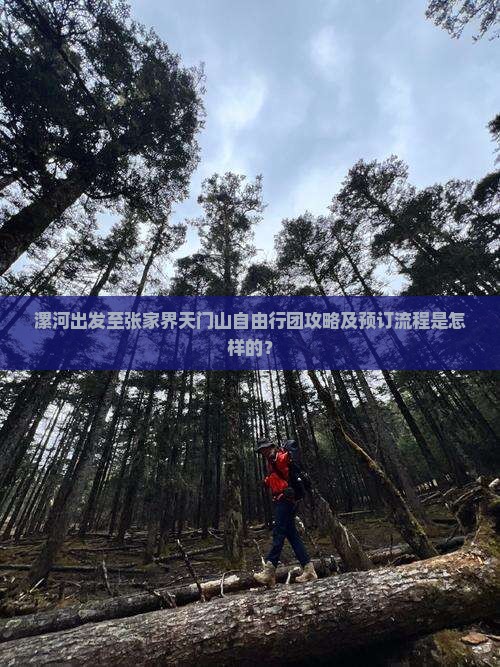 漯河出发至张家界天门山自由行团攻略及预订流程是怎样的？