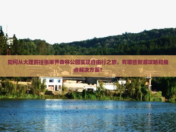 如何从大理前往张家界森林公园实现自由行之旅，有哪些新潮攻略和痛点解决方案？