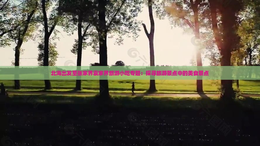 北海出发至张家界袁家界旅游小吃专题：探寻旅游景点中的美食景点