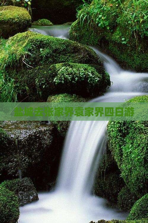 盐城去张家界袁家界四日游