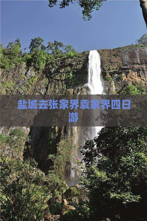 盐城去张家界袁家界四日游