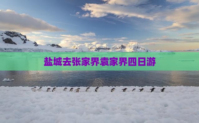 盐城去张家界袁家界四日游