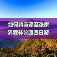 如何将菏泽至张家界森林公园四日游行程安排得更合理？聚焦游客痛点，解锁沉浸式游玩新体验！