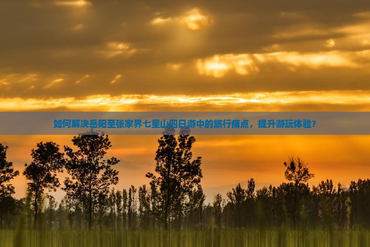 如何解决岳阳至张家界七星山四日游中的旅行痛点，提升游玩体验？