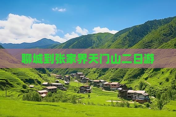 聊城到张家界天门山二日游