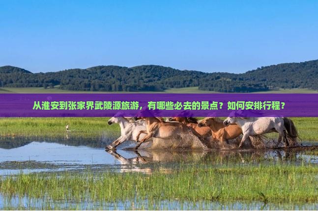 从淮安到张家界武陵源旅游，有哪些必去的景点？如何安排行程？