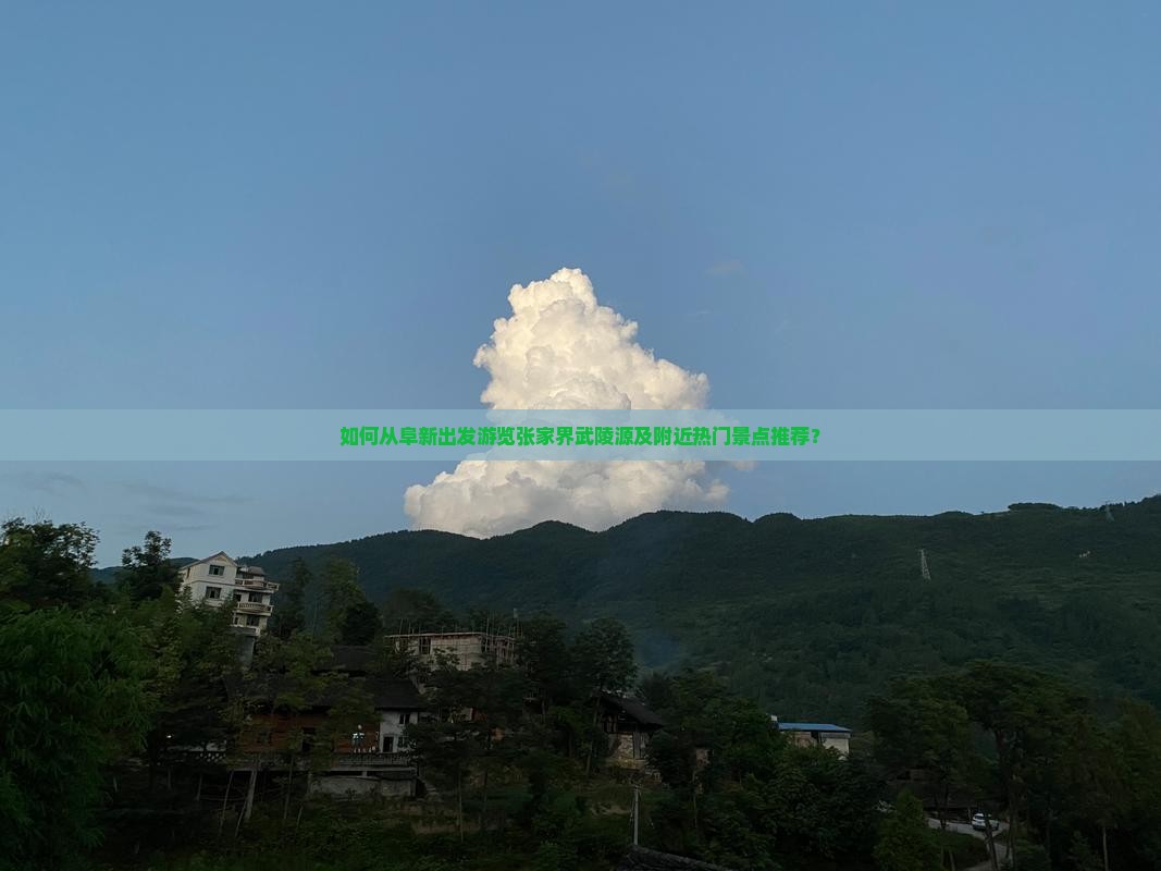 如何从阜新出发游览张家界武陵源及附近热门景点推荐？