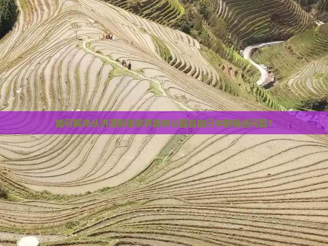 如何解决从济源到张家界森林公园自由行中的痛点问题？