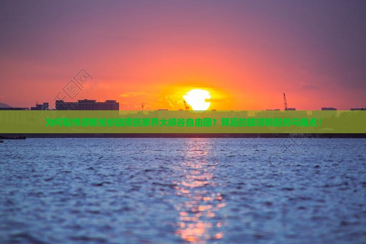 为何福州游客纷纷选择张家界大峡谷自由团？背后的旅游新趋势与痛点！