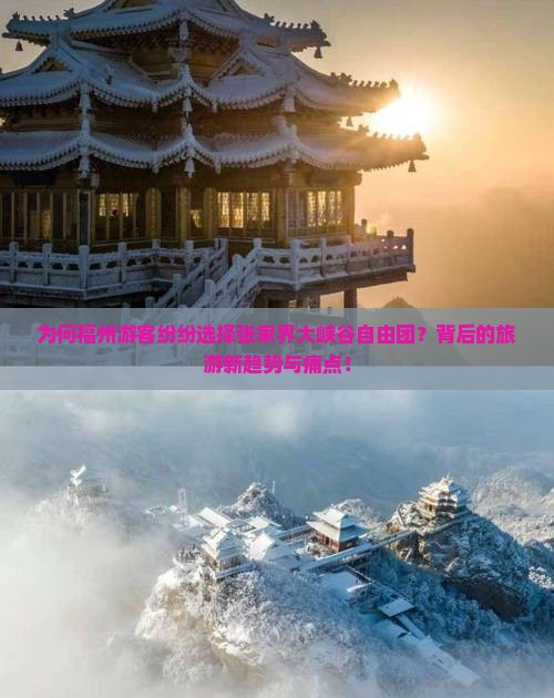 为何福州游客纷纷选择张家界大峡谷自由团？背后的旅游新趋势与痛点！