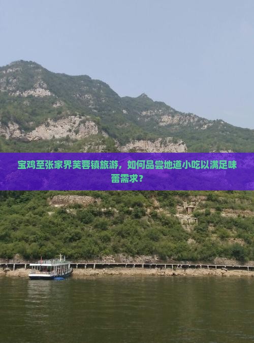 宝鸡至张家界芙蓉镇旅游，如何品尝地道小吃以满足味蕾需求？
