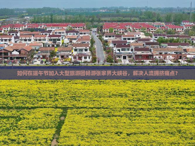 如何在端午节加入大型旅游团畅游张家界大峡谷，解决人流拥挤痛点？