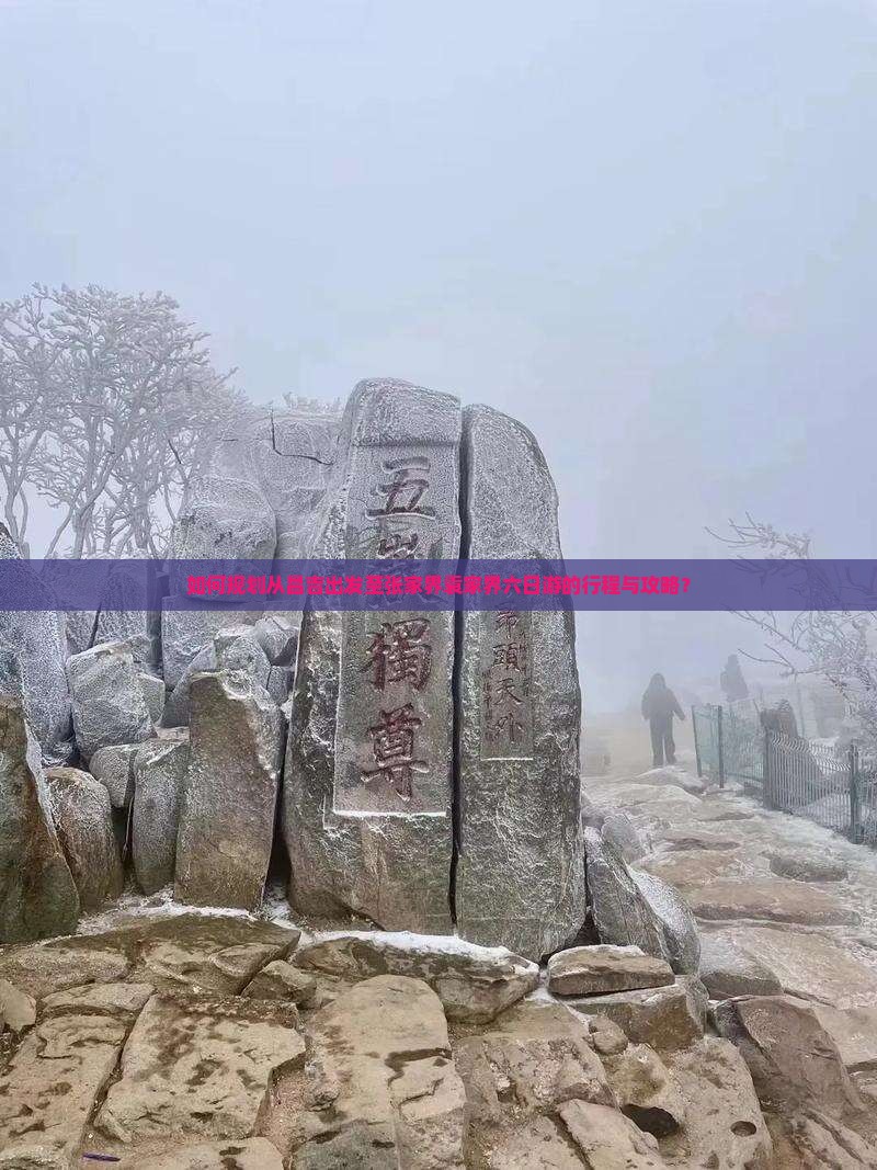 如何规划从昌吉出发至张家界袁家界六日游的行程与攻略？
