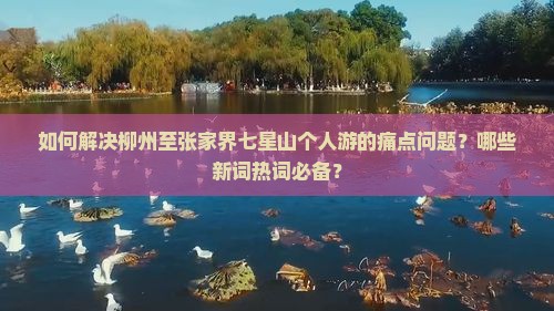 如何解决柳州至张家界七星山个人游的痛点问题？哪些新词热词必备？