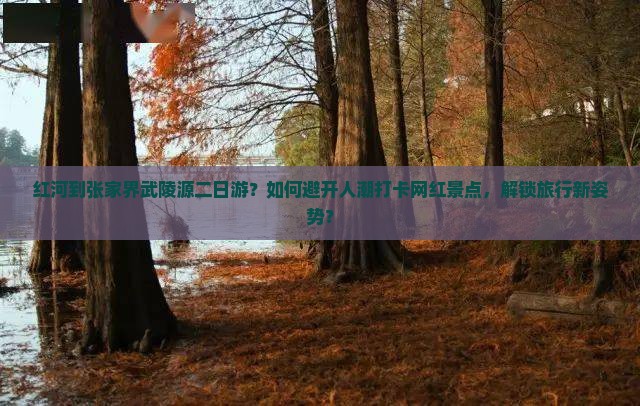 红河到张家界武陵源二日游？如何避开人潮打卡网红景点，解锁旅行新姿势？