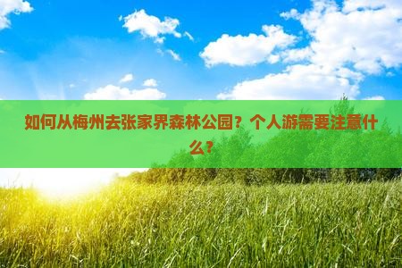 如何从梅州去张家界森林公园？个人游需要注意什么？