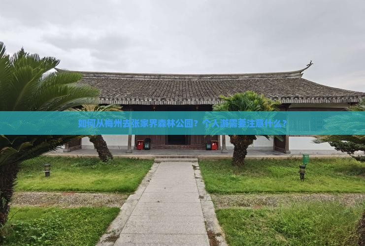 如何从梅州去张家界森林公园？个人游需要注意什么？