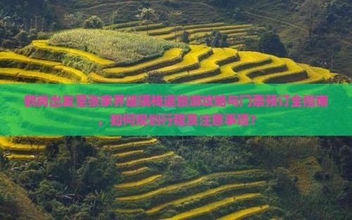 鹤岗出发至张家界玻璃栈道旅游攻略与门票预订全指南，如何规划行程及注意事项？