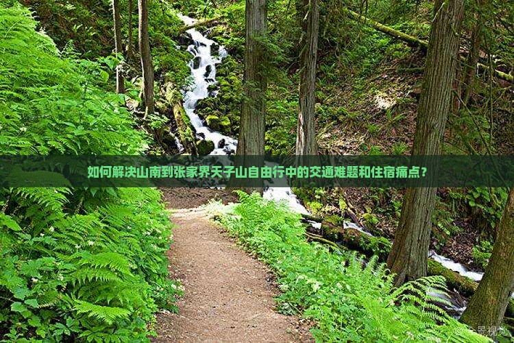 如何解决山南到张家界天子山自由行中的交通难题和住宿痛点？