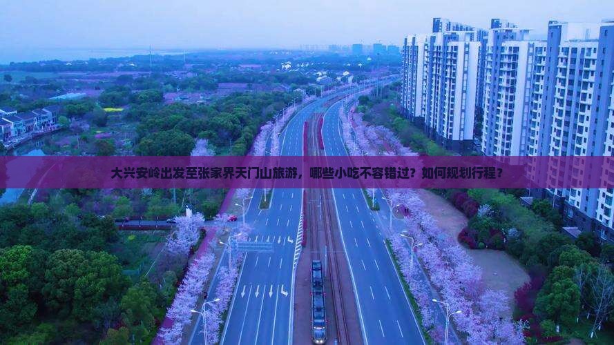 大兴安岭出发至张家界天门山旅游，哪些小吃不容错过？如何规划行程？