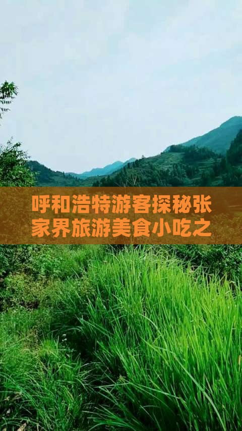 呼和浩特游客探秘张家界旅游美食小吃之旅