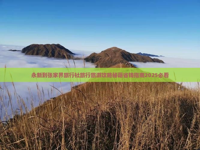 永新到张家界旅行社