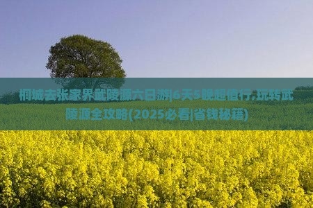 桐城去张家界武陵源六日游