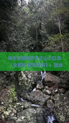海东去张家界天子山七日游