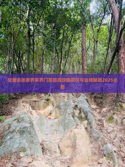 安康去张家界袁家界门票
