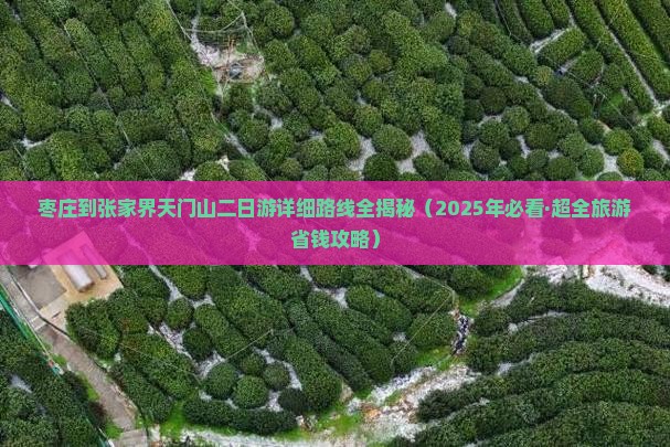 枣庄去张家界天门山二日游