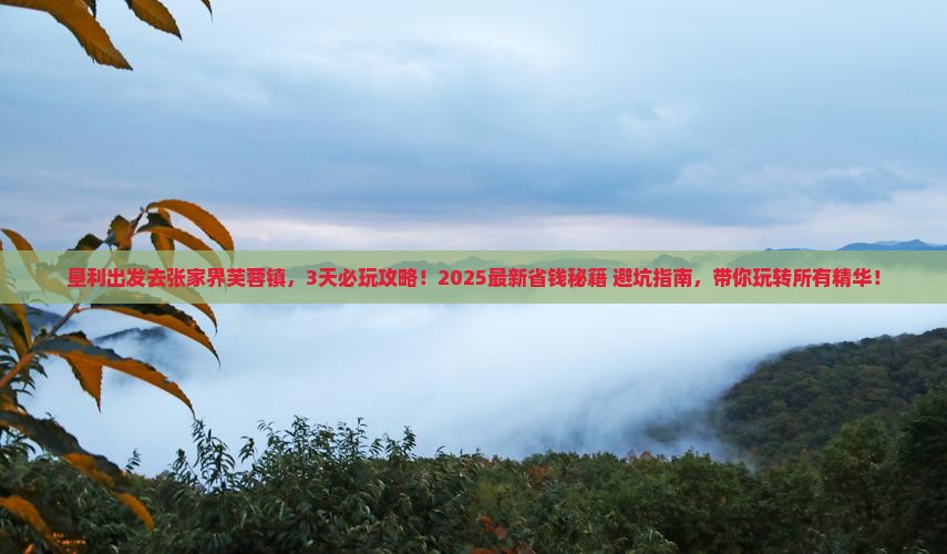 垦利去张家界芙蓉镇哪里玩