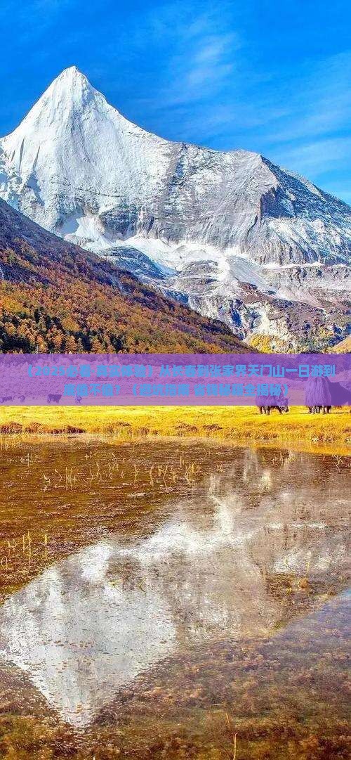 长春到张家界天门山一日