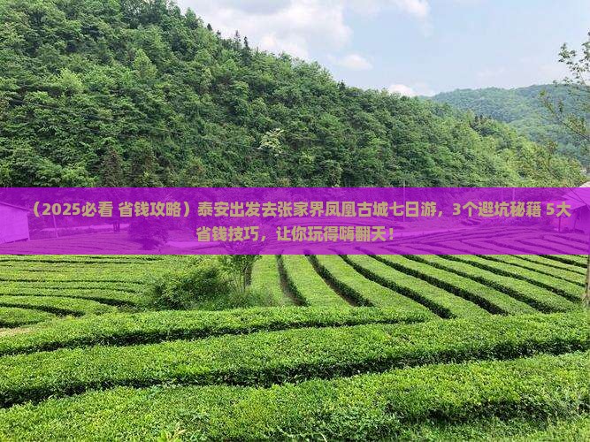 泰安到张家界凤凰古城七日游