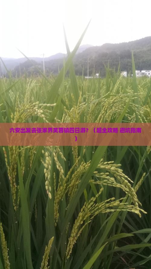 六安到张家界芙蓉镇四日游