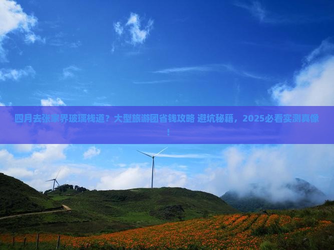 四月到张家界玻璃栈道大型旅游团