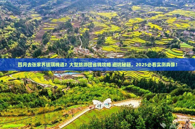 四月到张家界玻璃栈道大型旅游团