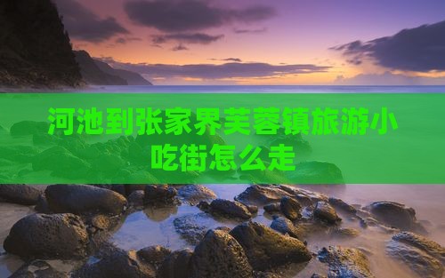 河池到张家界芙蓉镇旅游小吃
