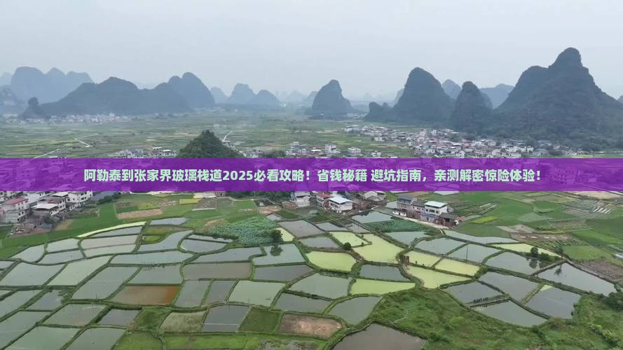 阿勒泰到张家界玻璃栈道大型旅游团