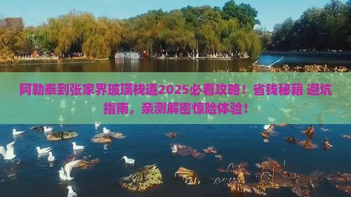 阿勒泰到张家界玻璃栈道大型旅游团