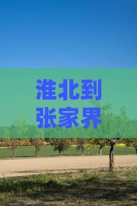 淮北到张家界七星山门票