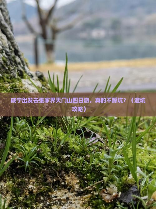 咸宁去张家界天门山四日游 咸宁去张家界天门山四日游