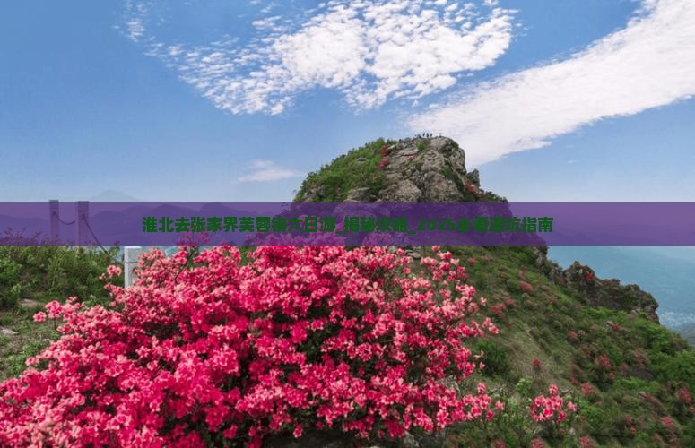 淮北去张家界芙蓉镇六日游
