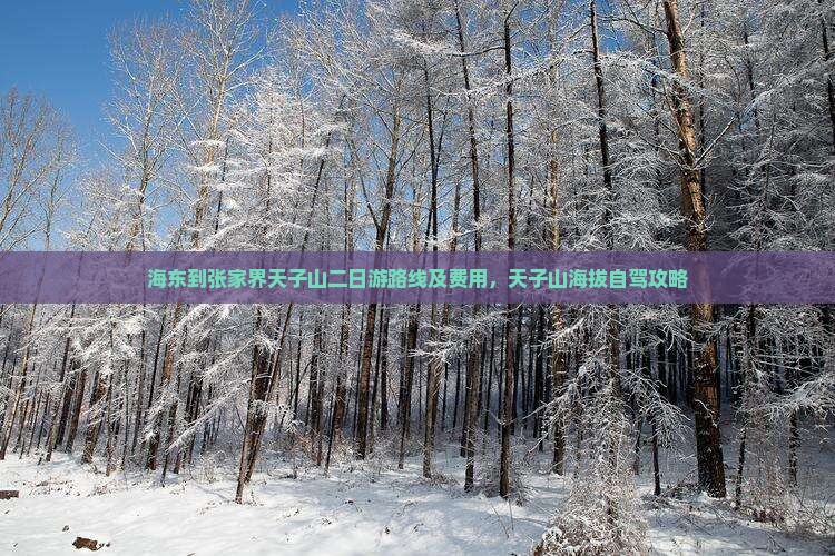 海东到张家界天子山二日游