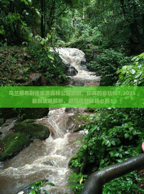 乌兰察布到张家界森林公园旅游