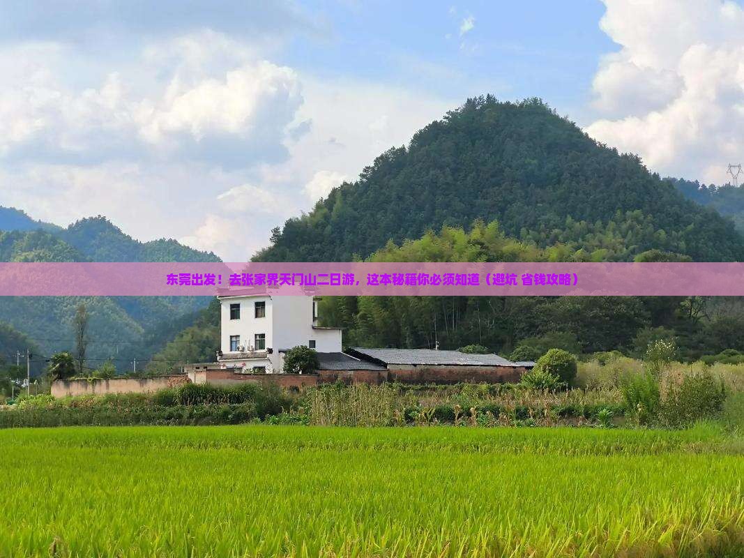 东莞去张家界天门山二日游